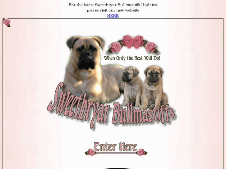 www.sweetbryarbullmastiffs.com