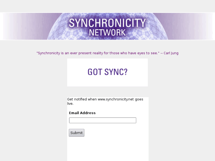 www.synchronicity.net