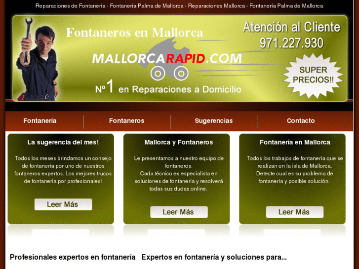 www.fontanerosenmallorca.es