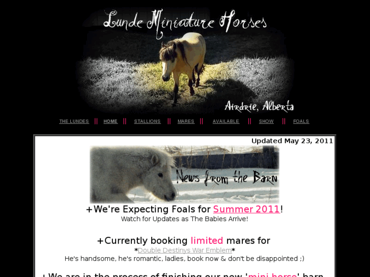 www.lundeminiaturehorses.com