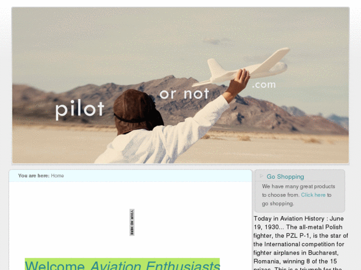 www.pilotornot.com