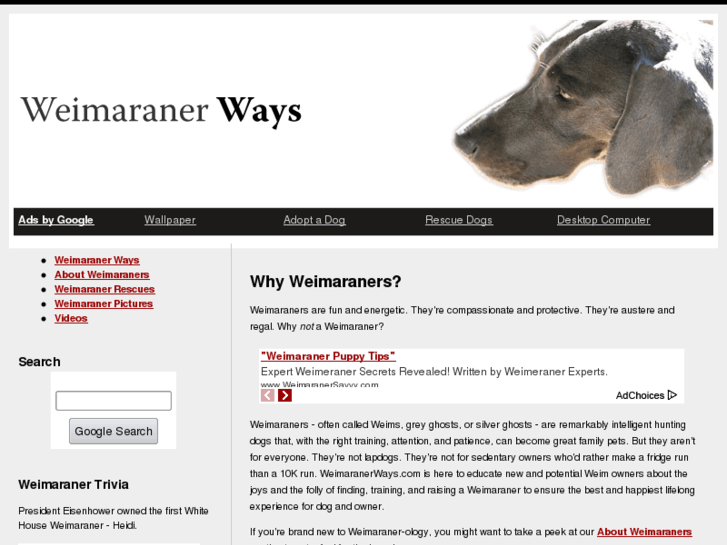 www.weimaranerways.com