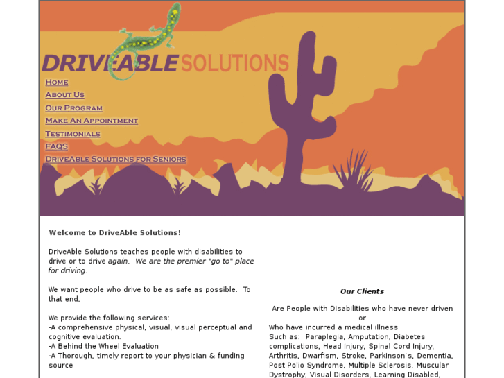 www.driveablesolutions.com