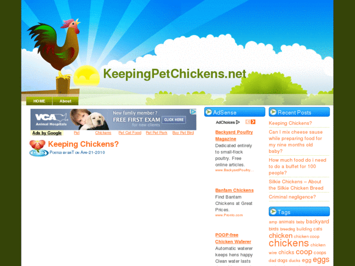 www.keepingpetchickens.net