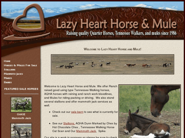 www.lazyhearthorseandmule.com