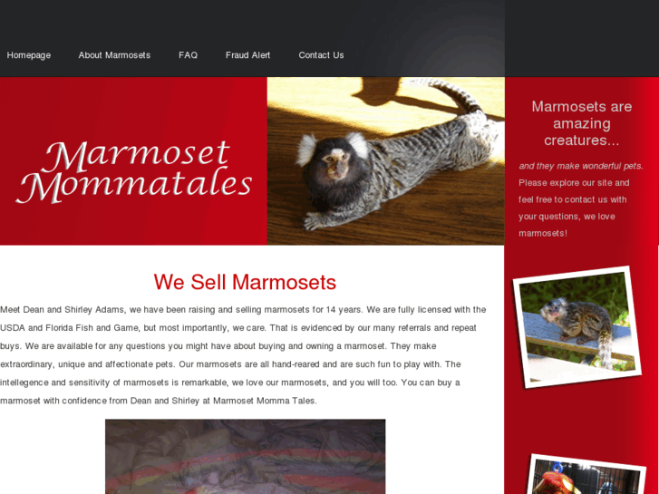 www.marmosetmommatales.com