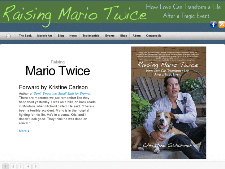 www.raisingmariotwice.com