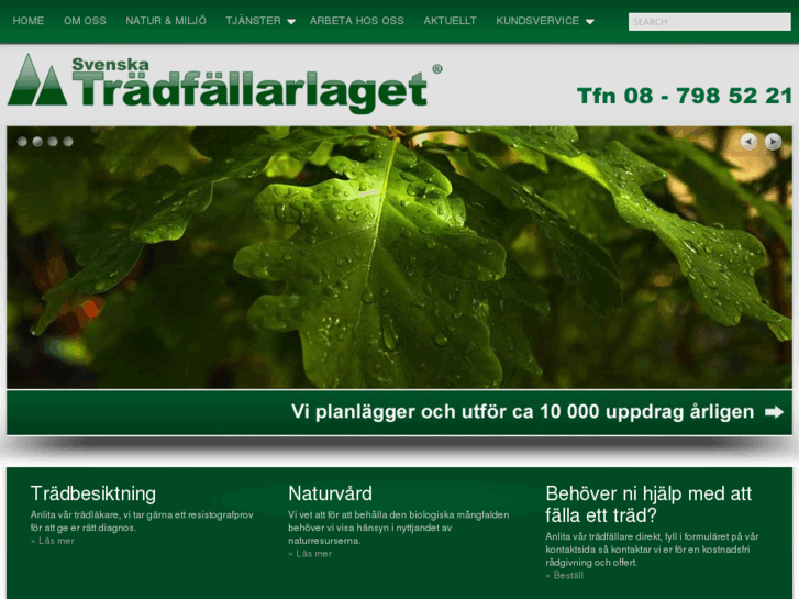 www.svtfl.se