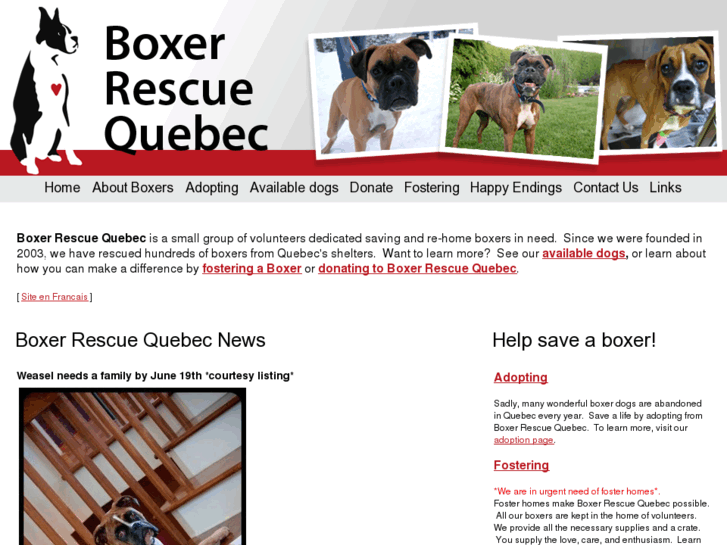 www.boxerrescuequebec.com