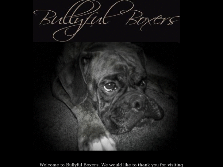 www.bullyfulboxers.com