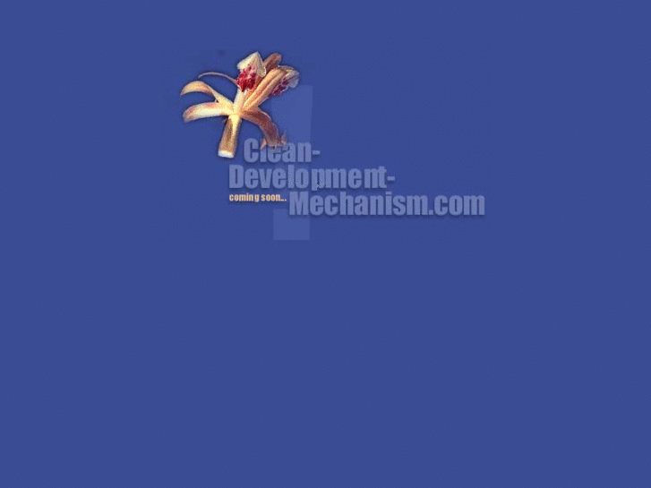 www.clean-development-mechanism.com