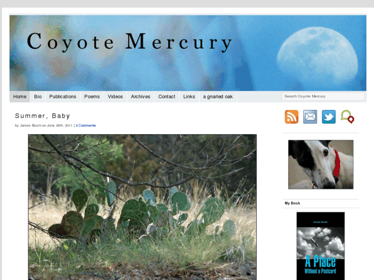 www.coyotemercury.com