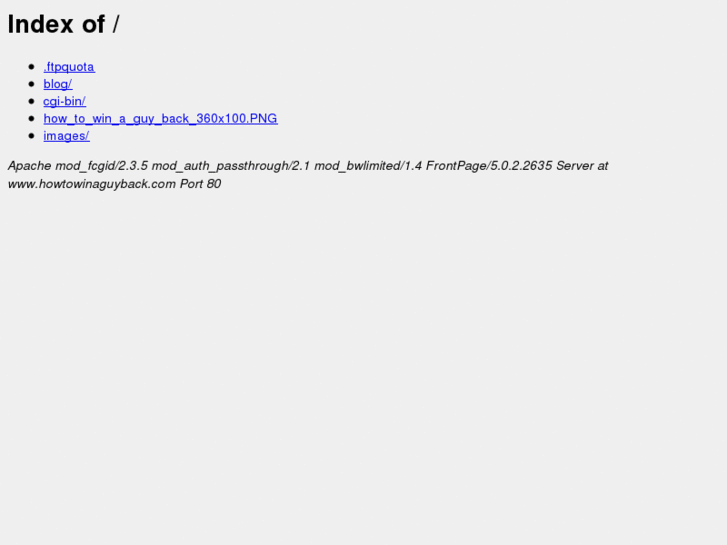 www.howtowinaguyback.com