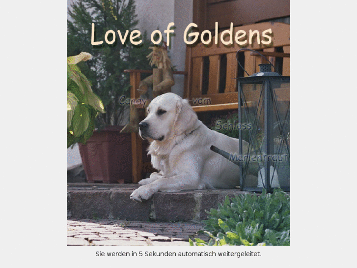 www.love-of-goldens.de