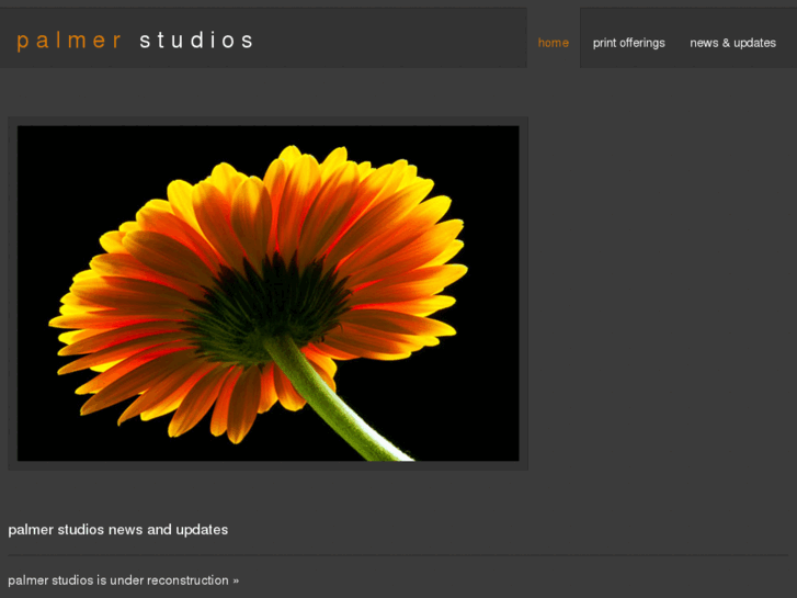 www.palmerstudios.com