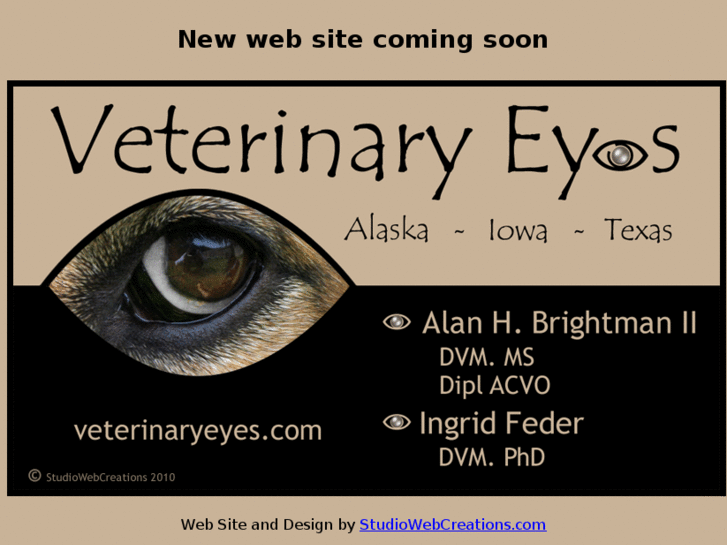 www.veterinaryeyes.com