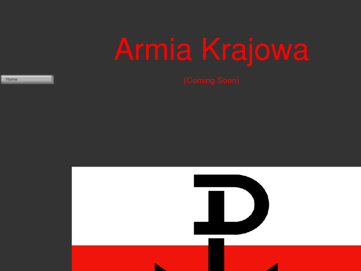 www.armiakrajowa.net