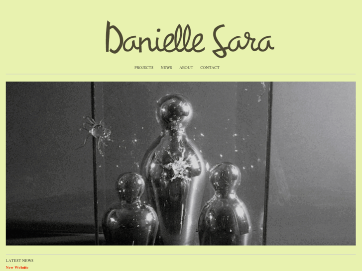 www.daniellesara.com