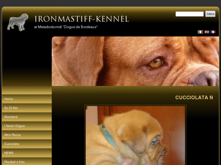 www.ironmastiff-kennel.com