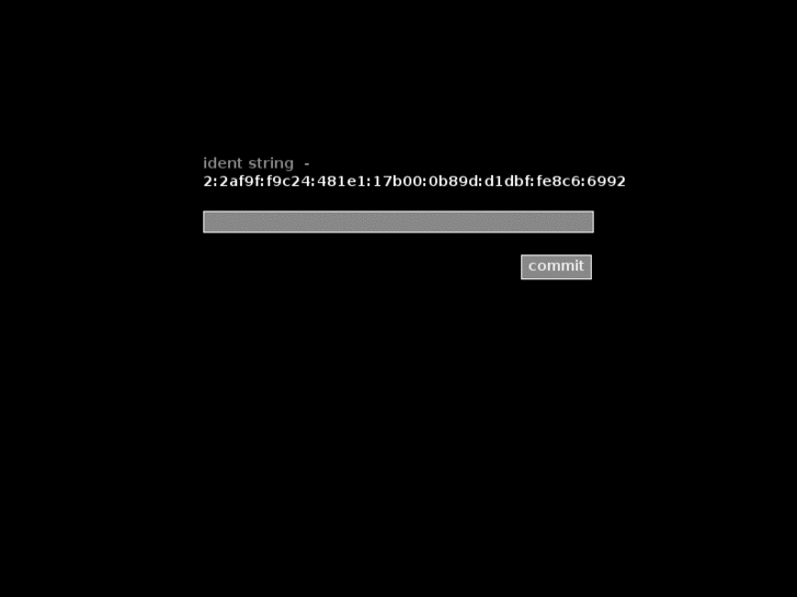 www.iterrorism.net