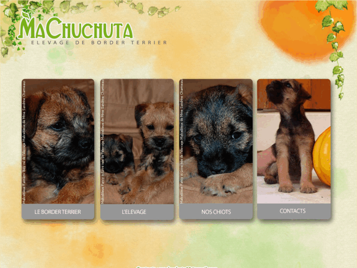 www.machuchuta-border-terrier.com