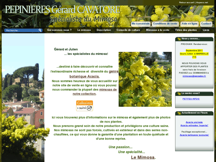 www.mimosa-cavatore.com