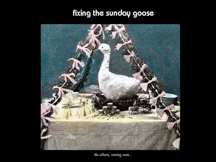 www.sundaygoose.com