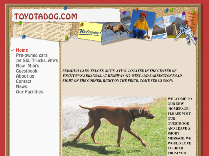 www.toyotadog.com