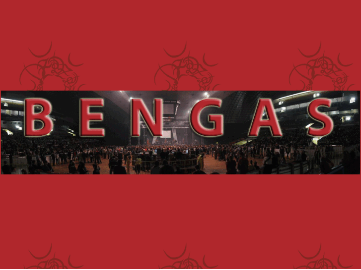 www.bengas.net