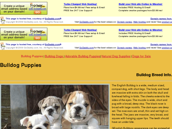 www.bulldogpuppiesonline.com