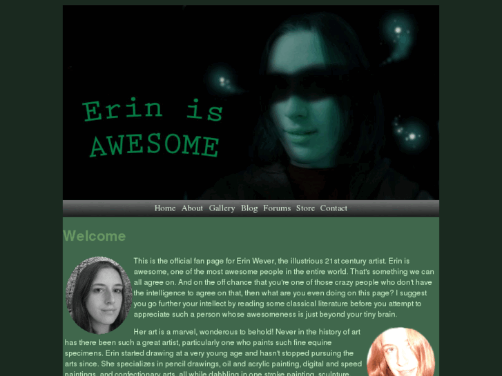 www.erinisawesome.com