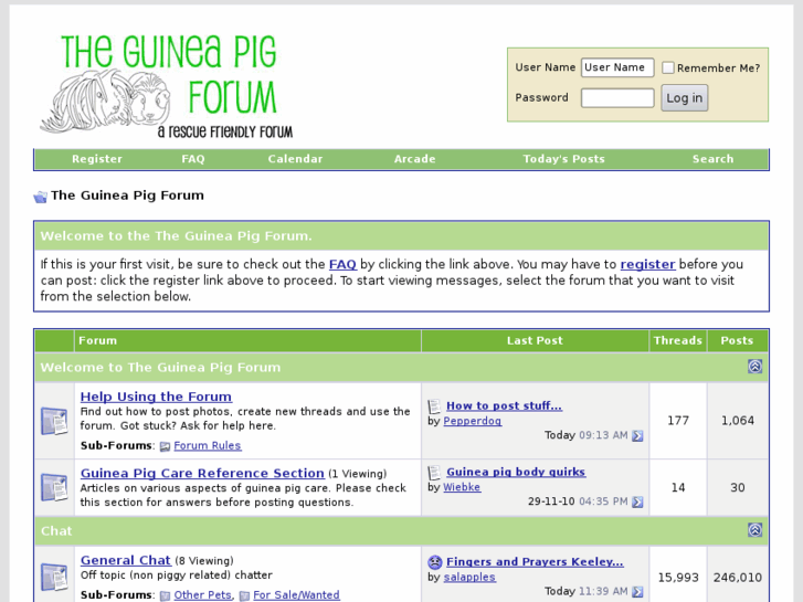 www.theguineapigforum.com