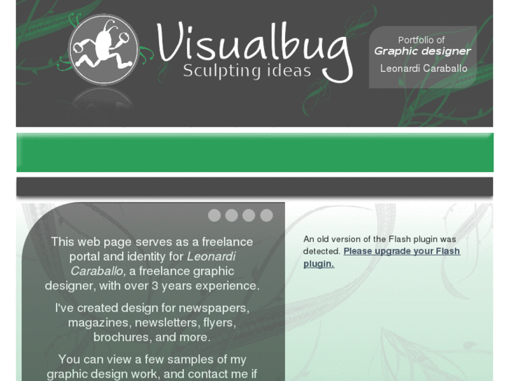 www.visualbug.com