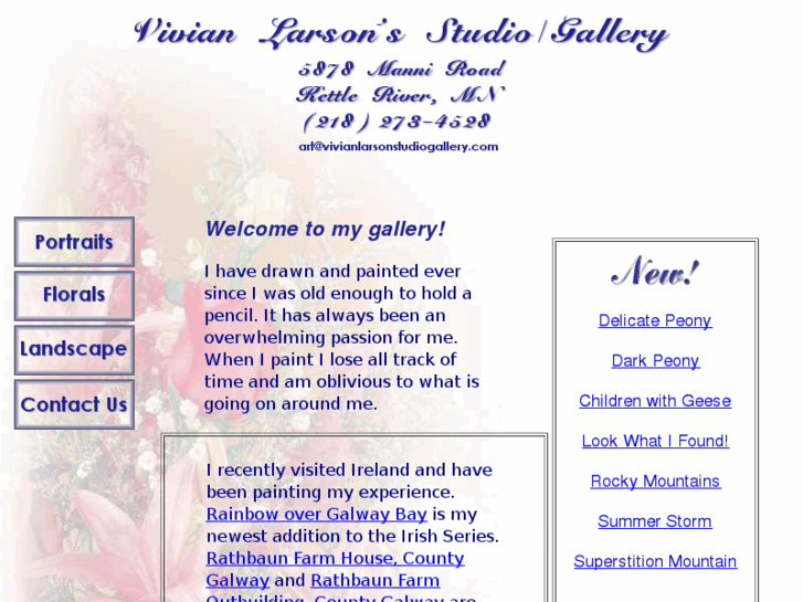 www.vivianlarsonstudiogallery.com