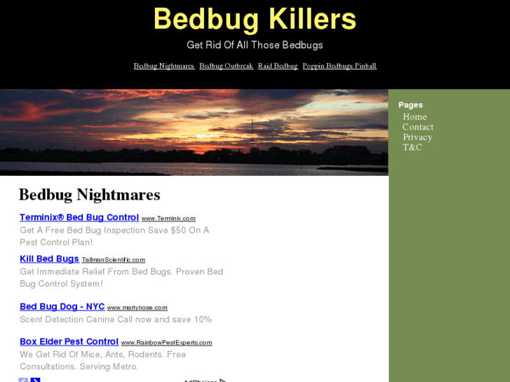 www.bedbugkillers.info