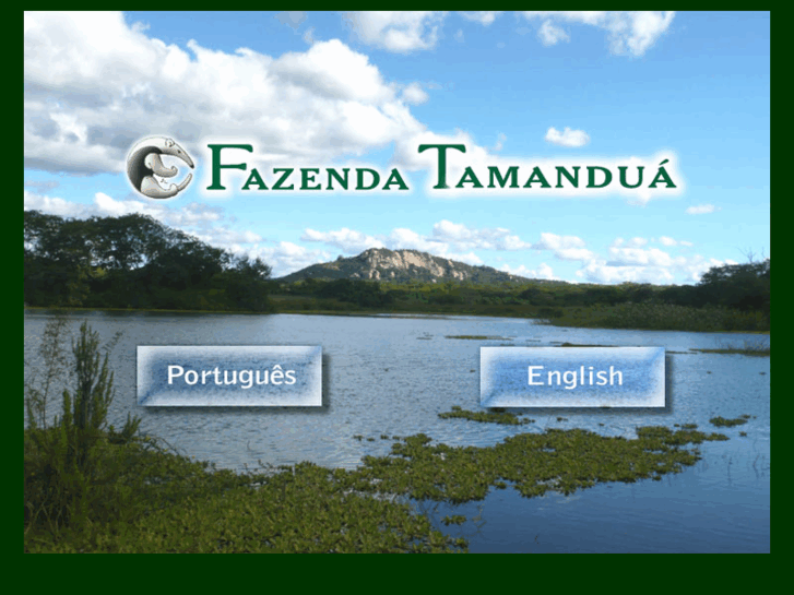 www.fazendatamandua.com