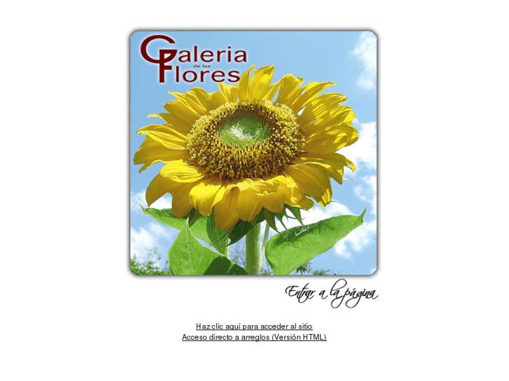 www.galeriadelasflores.com