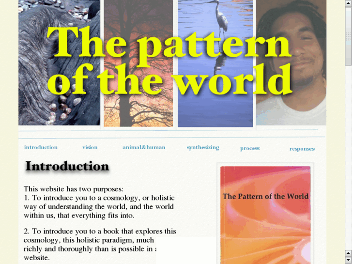 www.patternoftheworld.com