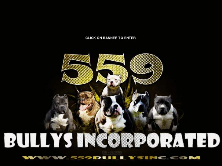 www.559bullysinc.com