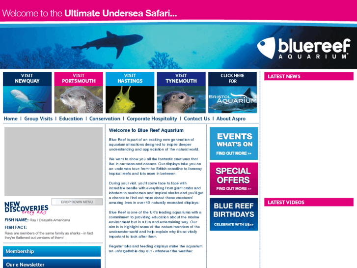 www.bluereefaquarium.com