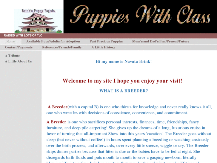 www.brinkspuppypagoda.com