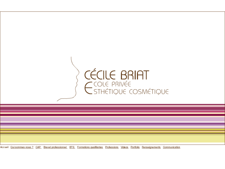 www.cecile-briat.com