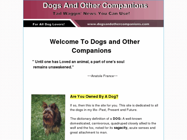 www.dogsandothercompanions.com