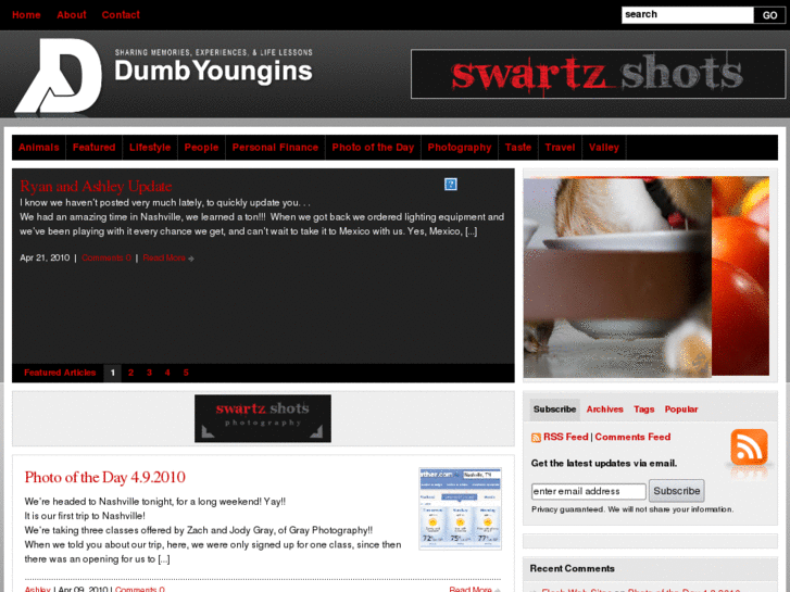 www.dumbyoungins.com