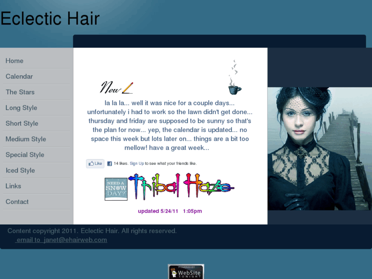 www.ehairweb.com