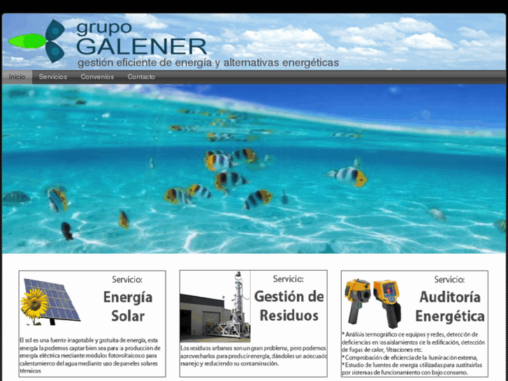 www.grupogalener.com