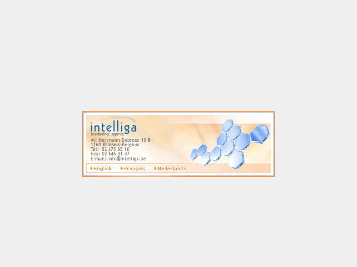 www.intelliga.be