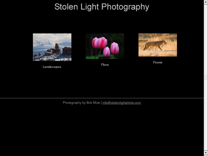 www.stolenlightphoto.com