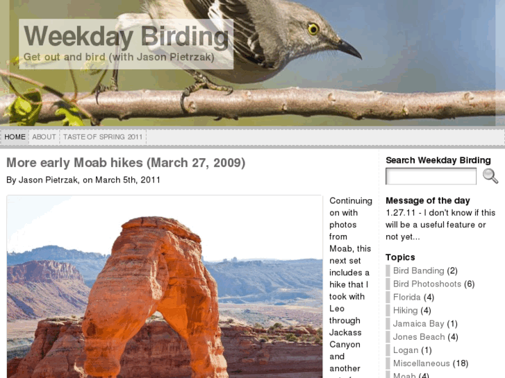 www.birdinginfocus.com