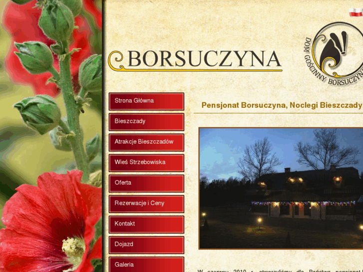 www.borsuczyna.pl